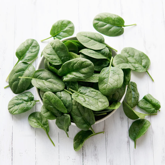 Overhead view of Patton spinach leaves showcasing dark, semi-savoyed foliage with white wooden background