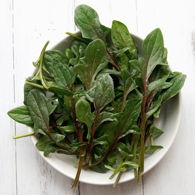 Top-down view of Red Snapper baby leaf spinach showcasing red stems and deeply lobed green leaves on a white plate