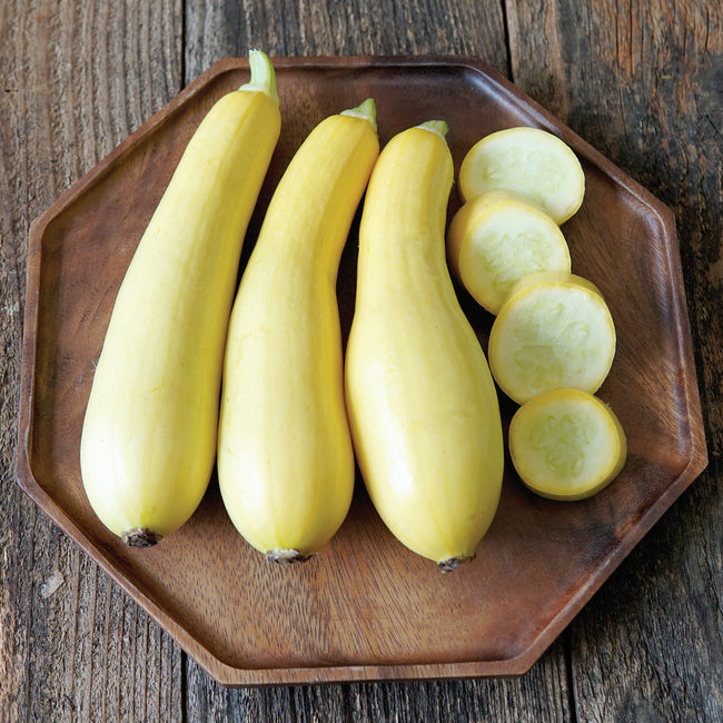 SMOOTH CRIMINAL-SQUASH SUMMER