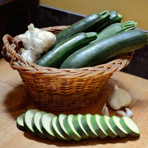 ASTIA-SQUASH SUMMER