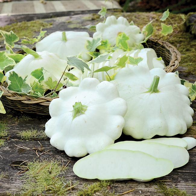 Front view of Benning's Green Tint summer squash showing pale green scalloped fruit and sliced interior on a wooden board