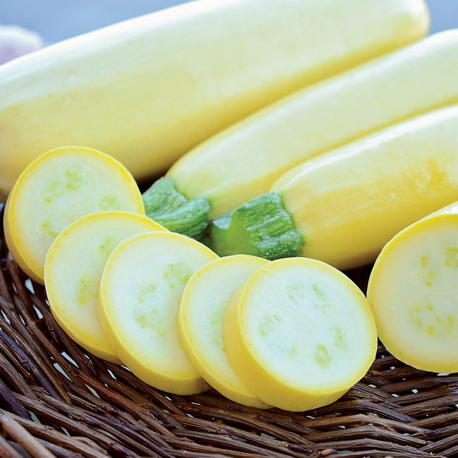 Front view of Chiffon summer squash showing pale-yellow whole fruit and sliced rounds on a wooden surface
