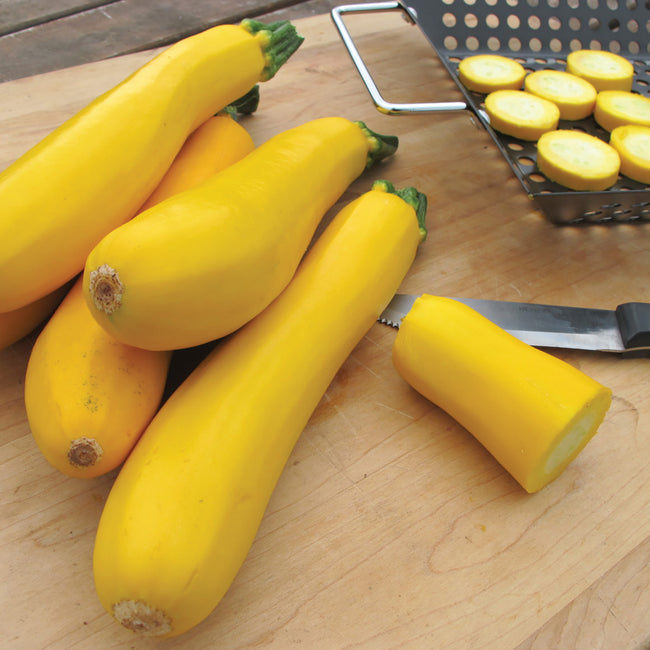 EASYPICK GOLD II-SQUASH SUMMER