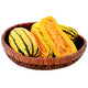 Front view of Delicata winter squash showcasing cream-colored skin with dark green longitudinal stripes on white background