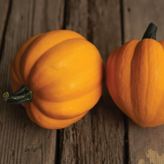 Close up of two Goldilocks acorn squash showing glossy dark orange ribbed skin with short green stems on a wooden tabletop