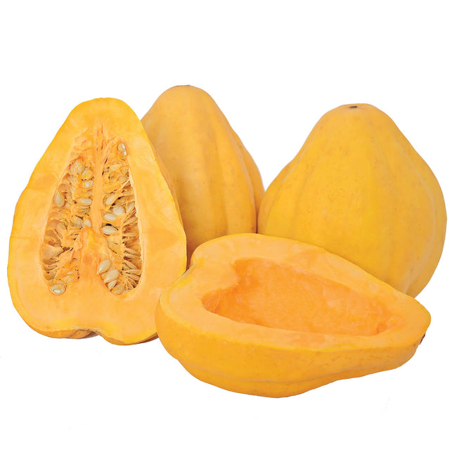 Front view of Thelma Sanders Sweet Potato winter squash, whole and halved, showing ridged beige exterior and orange-gold flesh