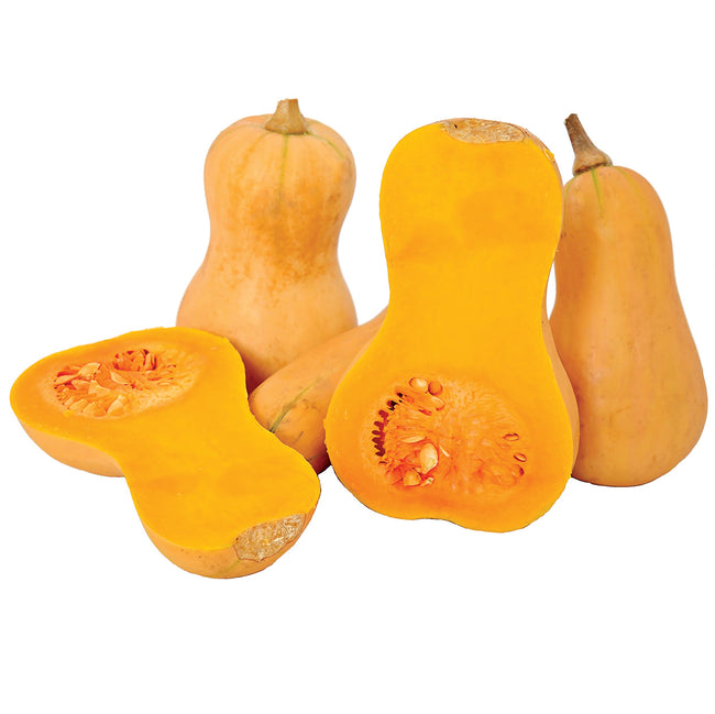Front view of Hunter butternut winter squash showing smooth tan skin and bright orange flesh on white background