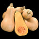 Front view of Hunter butternut winter squash, whole and halved to show orange flesh and seeds on black background