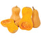 Front view of Hunter butternut winter squash showing smooth tan skin and bright orange flesh on white background