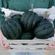 Three dark green Table Ace acorn squashes showing ribbed shape and smooth skin in a wooden crate