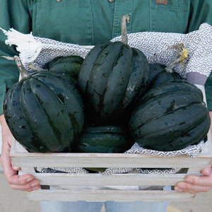 Three dark green Table Ace acorn squashes showing ribbed shape and smooth skin in a wooden crate