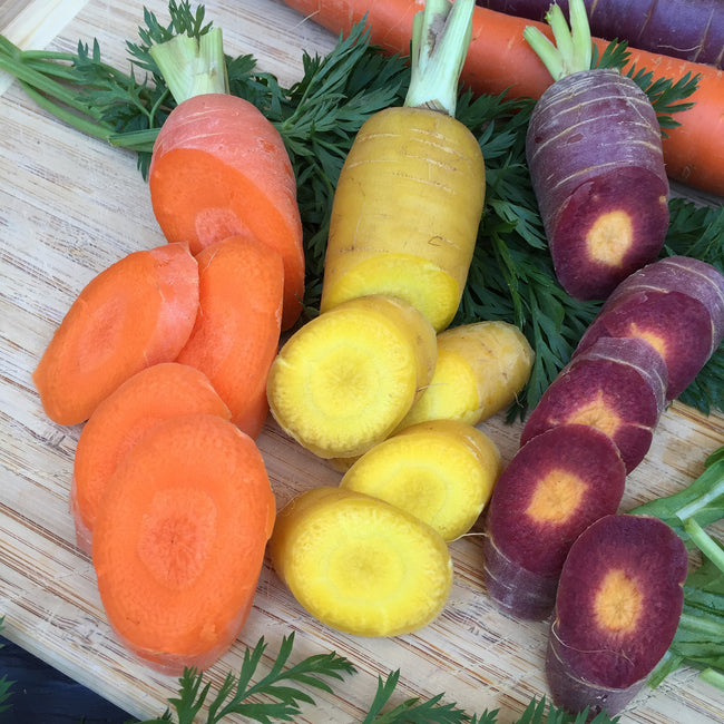 KALEIDOSCOPE CARROT COLLECTION-CARROT