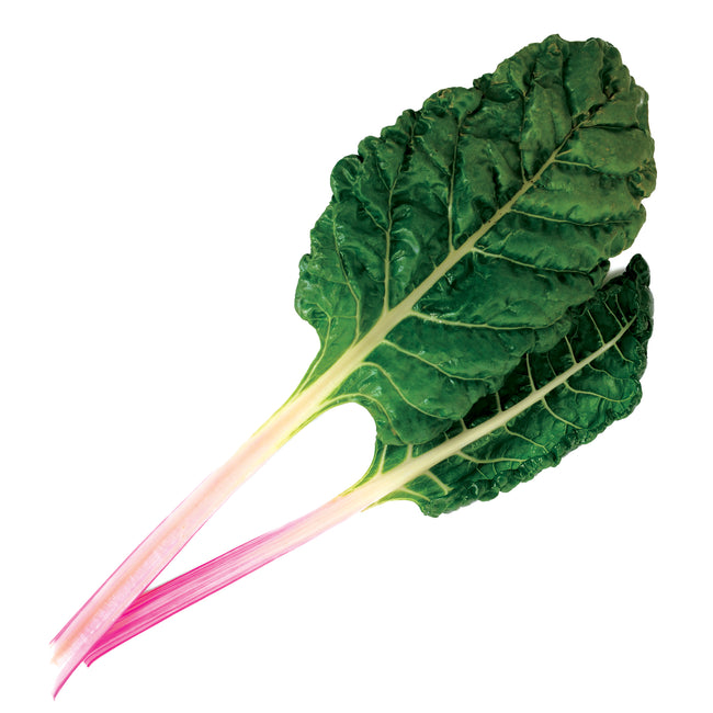 Close-up of Peppermint Swiss chard showcasing green rumpled leaves and white stems streaked fuchsia on white background