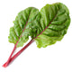 Close-up of Fire Fresh Swiss chard leaves showcasing medium-dark green oval leaves and ruby-red stems on white background