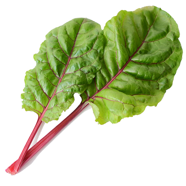 Close-up of Fire Fresh Swiss chard leaves showcasing medium-dark green oval leaves and ruby-red stems on white background