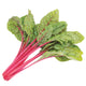 Close-up of Intense Swiss chard showcasing rounded green leaves and vivid red stems on white background