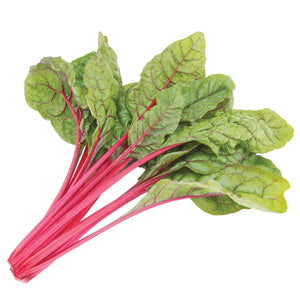 Close-up of Intense Swiss chard showcasing rounded green leaves and vivid red stems on white background