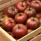 Close-up of Darkstar tomato showing pleated beefsteak fruits with deep purple-red color