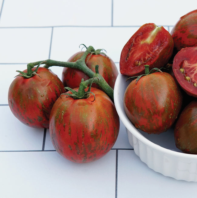 Purple Zebra tomatoes with green stems on a white tiled surface
