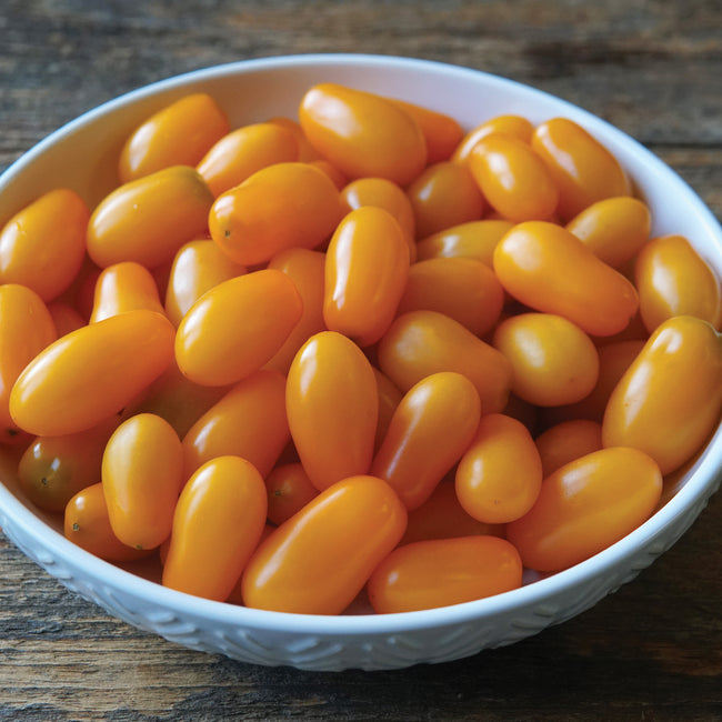 Close-up of Gold Spark grape tomatoes showing elongated golden-yellow fruits in a bowl