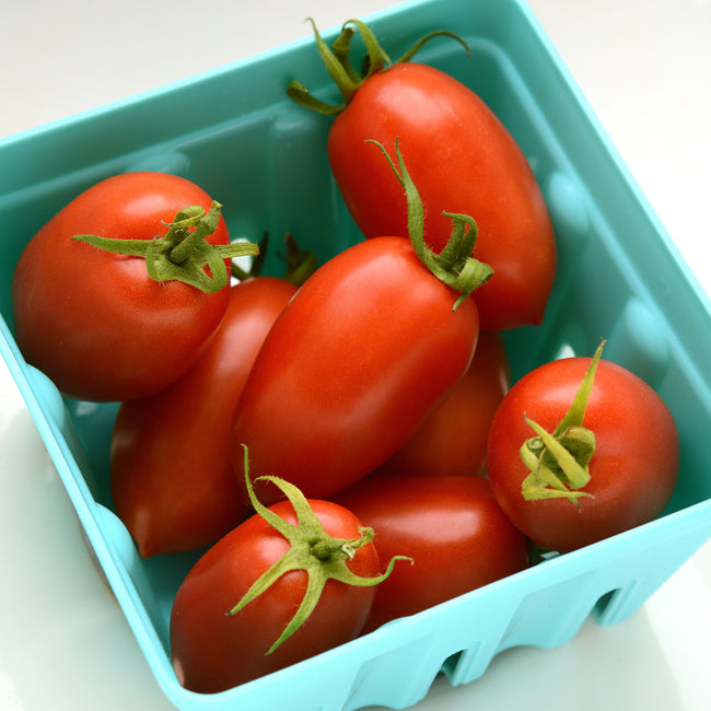 Close-up of Marzinera tomatoes showcasing elongated, meaty red fruit in a light blue pint basket