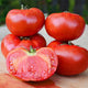 Front view of Buffalosteak F1 tomatoes with one halved to show the meaty, bright-red interior on a wooden cutting board