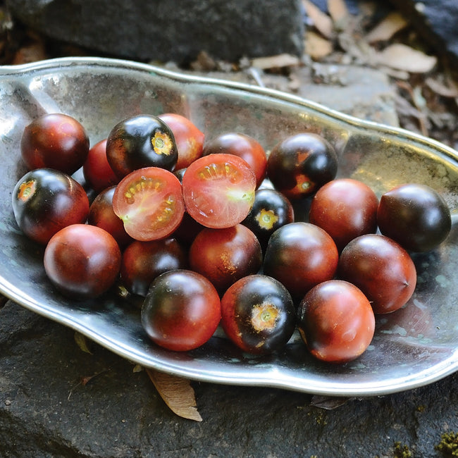 Close-up of Indigo Cherry Drops cherry tomatoes in a shallow metal dish showing deep rosy-red fruits with black-purple shoulders and one halved tomato