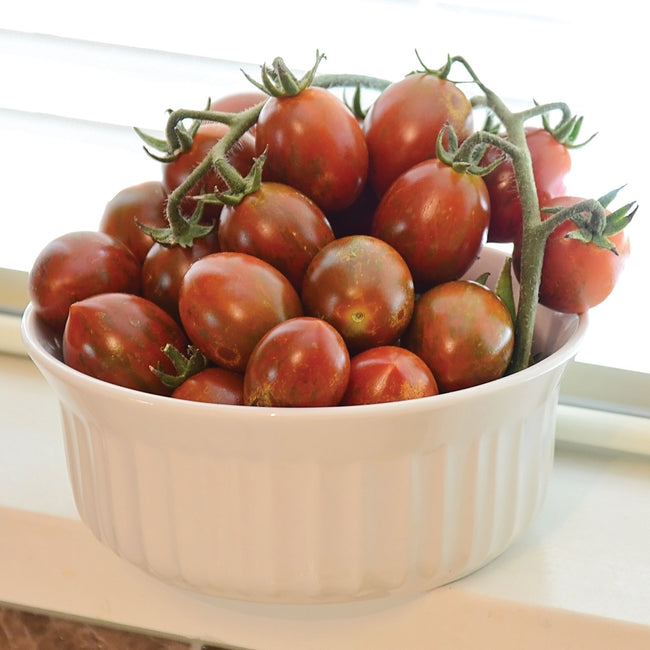 Close-up of Chocolate Sprinkles cherry tomatoes showing forest-green streaks over coppery-red skin on white background
