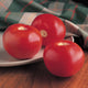 Front view of three Bobcat tomatoes with smooth glossy red skin and classic slicing shape on a plate with plaid cloth