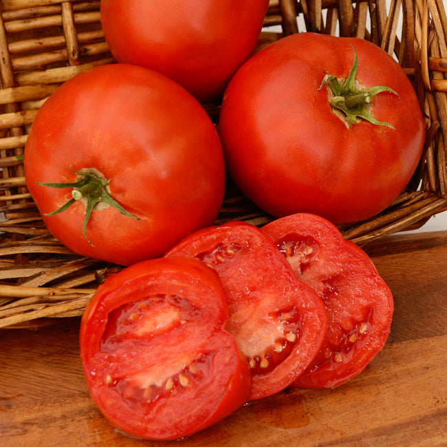 Close-up of Bobcat tomato showing whole fruits and a sliced tomato revealing firm, meaty red flesh