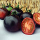 Front view of Indigo Rose tomato showing dark indigo skin and a sliced red interior on a white background