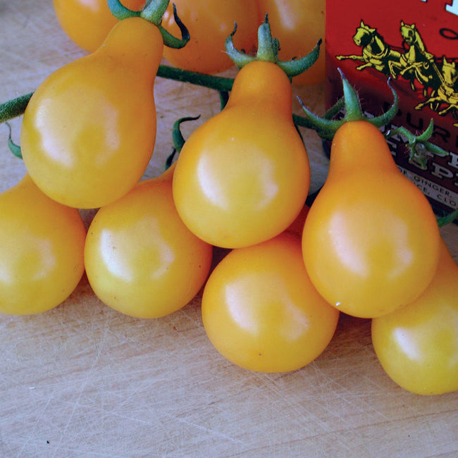 Close-up of Yellow Pear cherry tomatoes on the vine showcasing glossy, pear-shaped yellow fruits on a wooden cutting board