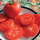 Close-up of Legend tomato showing whole and sliced glossy red 4–5 inch slicing fruit on white background
