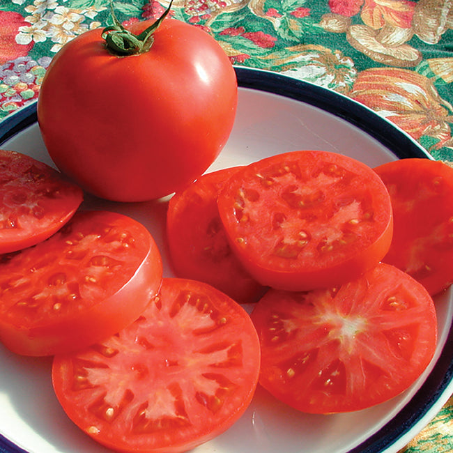 Close-up of Legend tomato showing whole and sliced glossy red 4–5 inch slicing fruit on white background