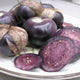 Front view of purple tomatillos showing deep purple skin, sliced purple flesh with seeds and papery husks on a plate
