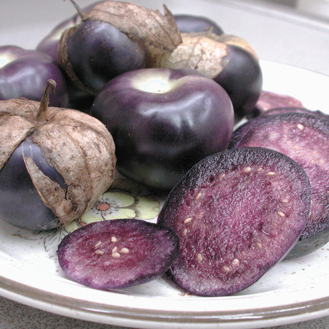 Front view of purple tomatillos showing deep purple skin, sliced purple flesh with seeds and papery husks on a plate