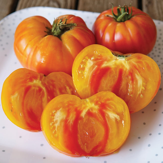 Close-up front view of Pineapple tomato halves showcasing yellow-orange flesh with red streaks on a white polka-dot plate