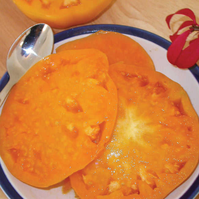 Close-up of Kellogg's Breakfast tomato showcasing bright orange, meaty sliced interior on white background