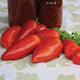 Front view of Jersey Devil tomato showcasing a pointed oblong red fruit on white background