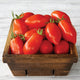Close-up of Nova tomato fruits showing clusters of elongated, meaty red roma tomatoes in a wooden crate