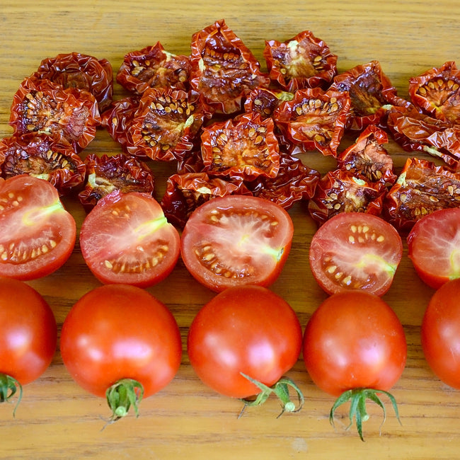 Close-up of Mountain Magic tomato cluster showing bright red 1 3/4-inch cocktail fruit on the vine with blurred green background