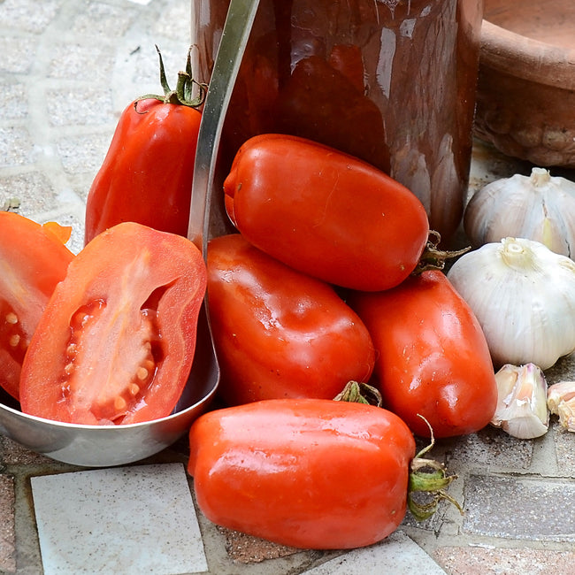 Close-up of San Marzano tomatoes showing meaty roma fruits and a halved tomato revealing dense flesh with garlic behind