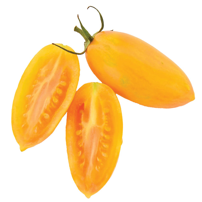 Close-up of Blush cherry tomatoes showing elongated golden fruit with ruby red streaks on white background