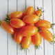 Front view of Blush tomatoes showcasing elongated golden cherry fruits streaked with ruby on a white wooden background
