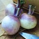 Close-up of two Purple Top White Globe turnips showing purple shoulders and creamy white roots on a wooden surface