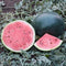 Front view of Blacktail Mountain watermelon showing whole dark green rind and sliced pink flesh with seeds on vine-covered soil