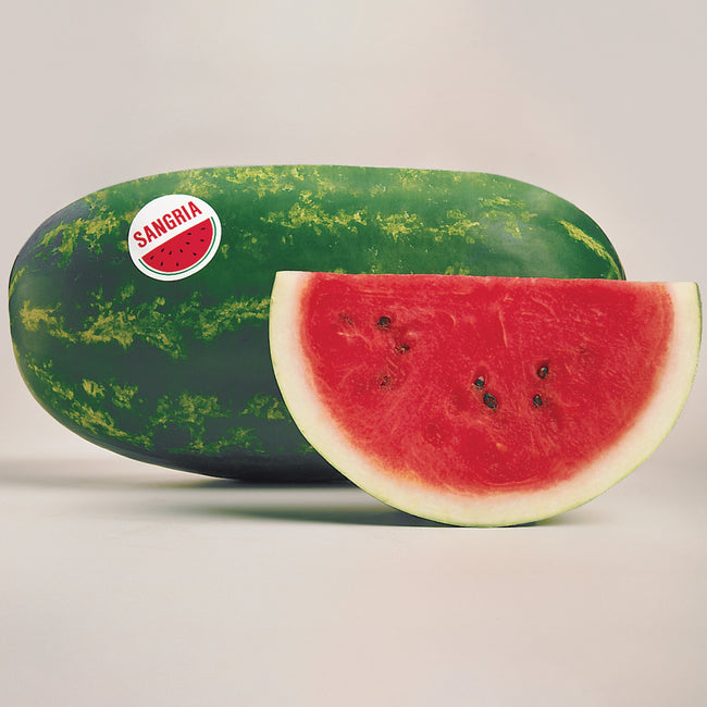 Three-quarter view of Sangria watermelon showing deep red sliced flesh and green striped rind on white background