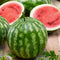 Front view of Cal Sweet Bush watermelon, whole and halved to show red flesh and black seeds on a wooden surface