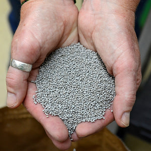 Close-up of hands holding a handful of Berseem clover seeds, showing small round gray coated seed pellets on a blurred background
