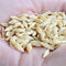 Close-up of Full Pint barley grains in a cupped hand showcasing pale golden kernels and intact hulls on a skin-toned background